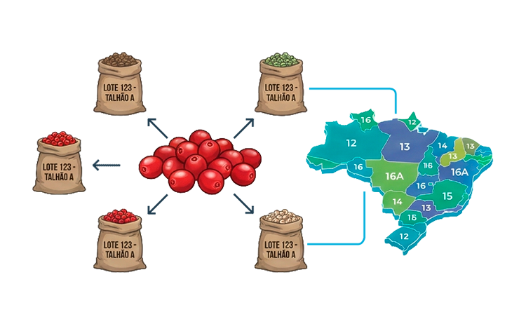 Cafeicultura